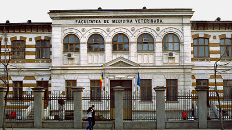 incendiu la facultate