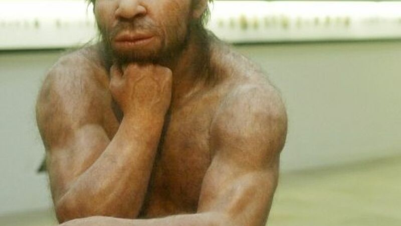omul de neanderthal