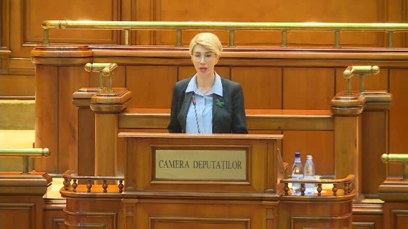 Raluca Turcan, Parlament