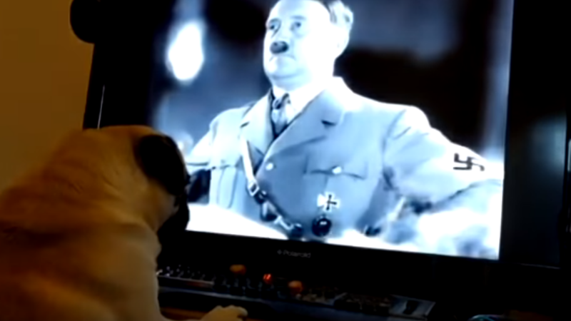 Caine nazist