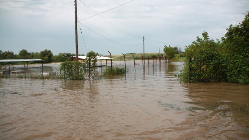 inundatii teleorman