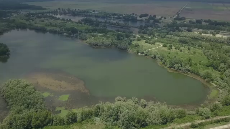 insula Belina