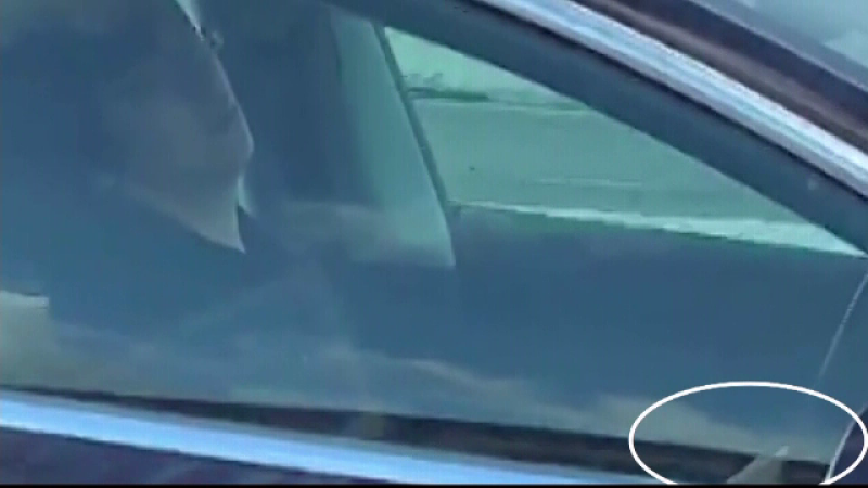 Şofer filmat în timp ce doarme la volan
