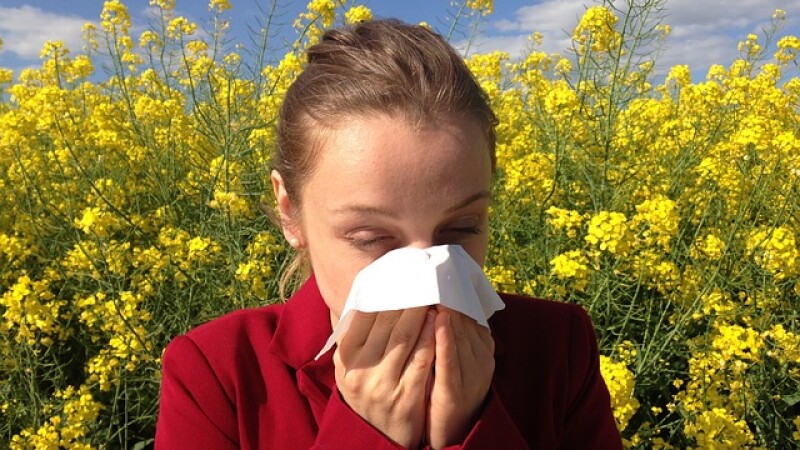 Alergie polen, CSID