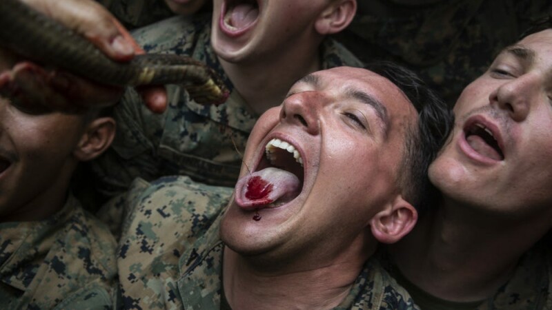 Pușcașii marini americani, somați să nu mai mănânce scorponi și sânge de cobra, în junglă