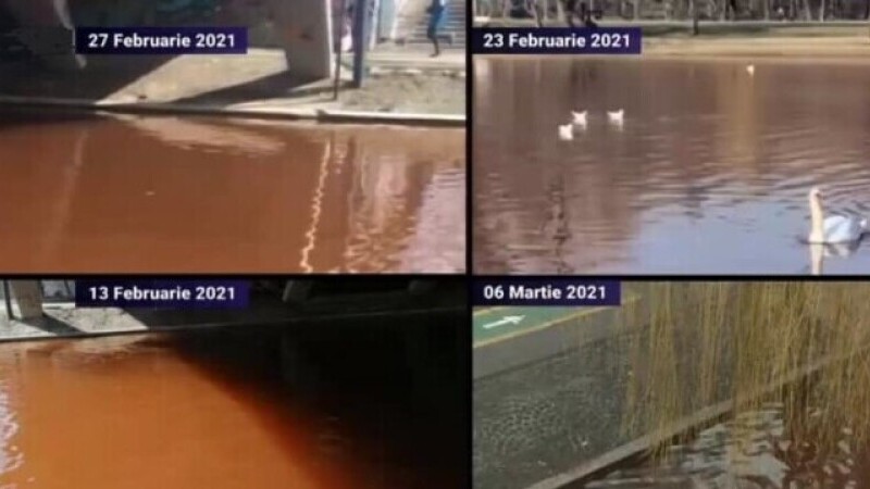 Lacul IOR nu ar fi poluat cu fecale, consideră ministrul Mediului. Rezultatele analizelor nu sunt