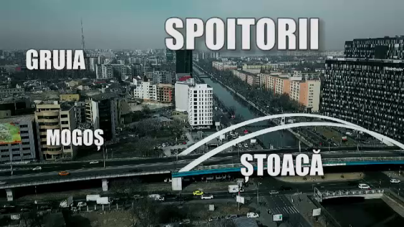 Radiografia grupărilor interlope din București