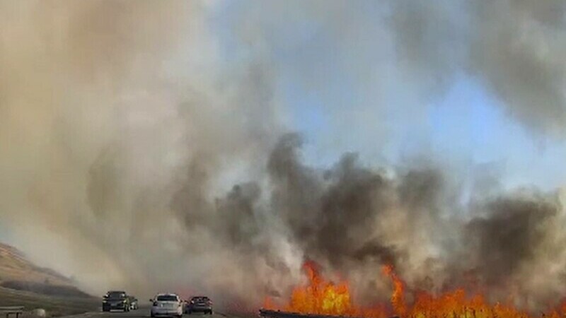 Un incendiu de vegetație a perturbat traficul rutier pe centura orașului Cluj-Napoca