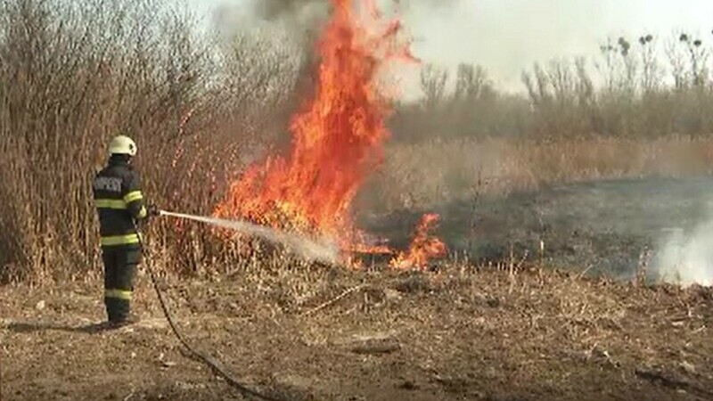 Incendiile de vegetație au devenit un fenomen în România. Peste 6.000 de focare au fost stinse în ultimele luni