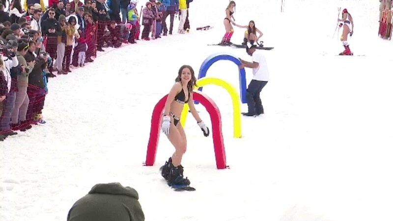 miss bikini