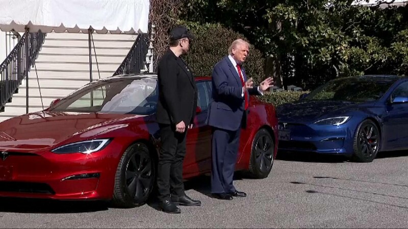 tesla