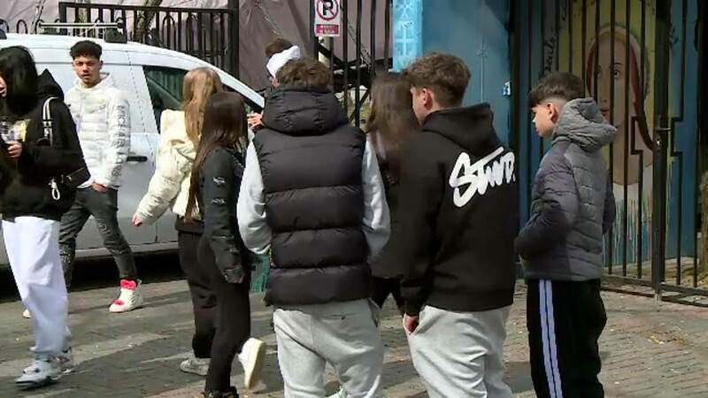 simulare evaluare nationala mate