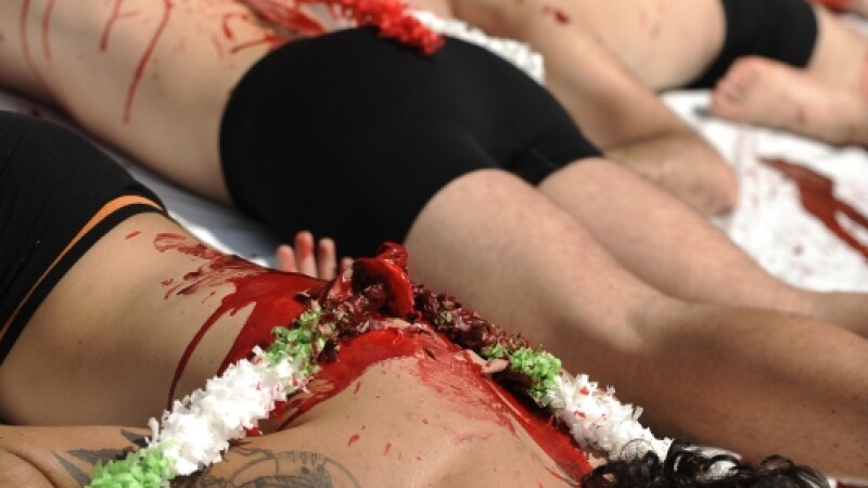 Protest in pielea goala la Madrid, impotriva luptelor cu tauri!