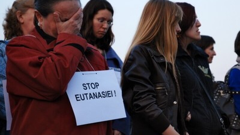 Protest fata de eutanasierea maidanezilor