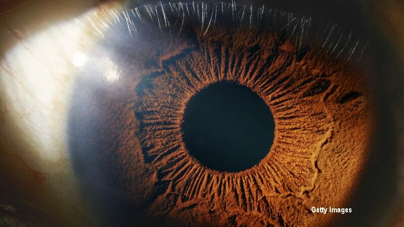 O ciudată afecțiune neurologică, “vederea oarbă”, ar putea ajuta la explicarea conștiinței