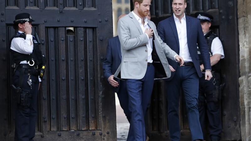 printul harry si printul william