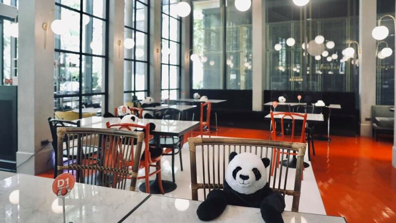 restaurant thailanda cu uris panda la masă