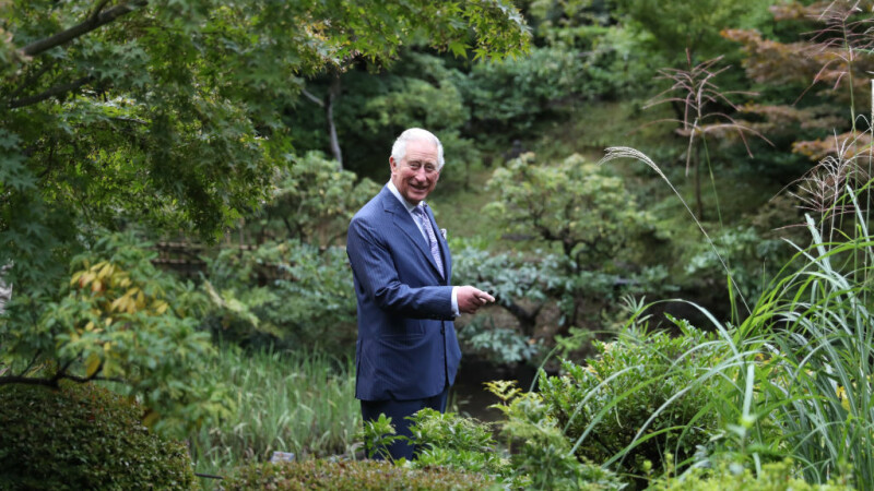 Prințul Charles le cere britanicilor să iasă pe câmp și să ajute fermierii să strângă recolta