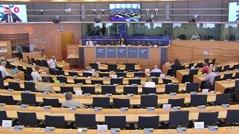 Cazul românilor plecați la cules de sparanghel în Germania a ajuns în Parlamentul European