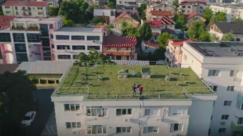 Agricultura urbană devine o modă în România. Cât costă să ai o grădină pe balcon