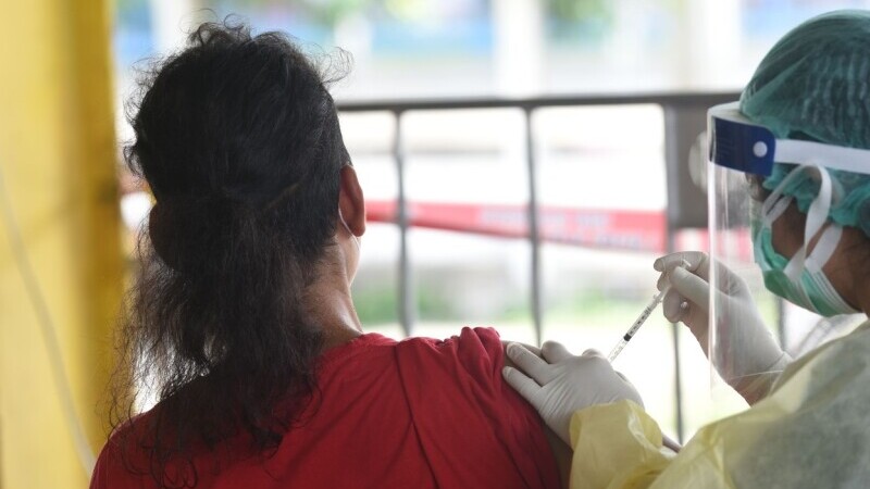 Thailanda: Persoanele care se vaccinează împotriva Covid-19 pot câștiga o vacă