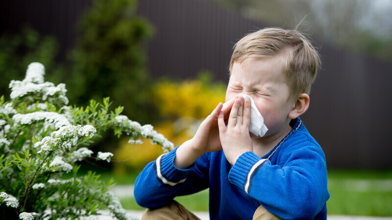 CSID.Cum putem proteja copiii de alergii. Mânuțe murdare sau un câine, cele mai bune variante