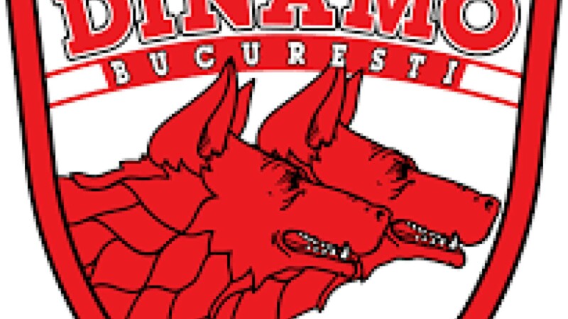dinamo