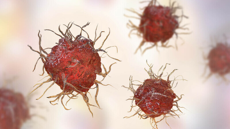 celule macrofage