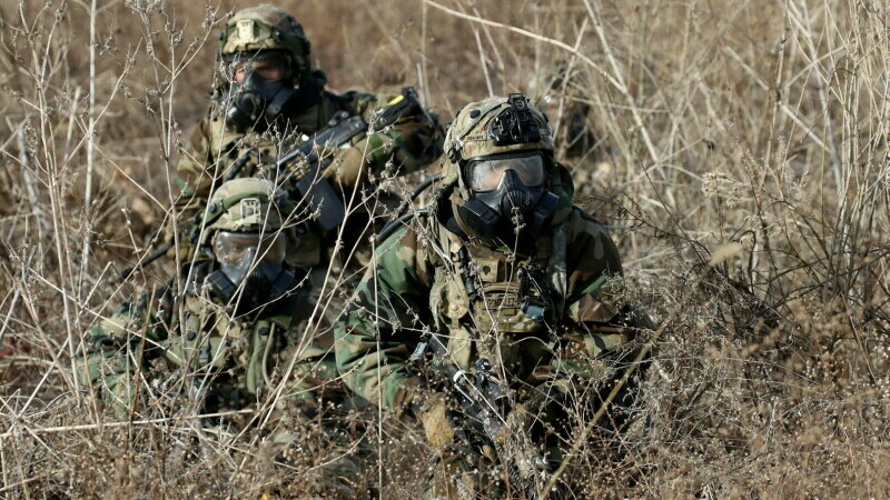 Japonia, soldati