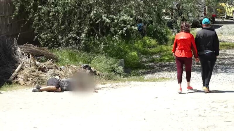 perchezitii droguri litoral