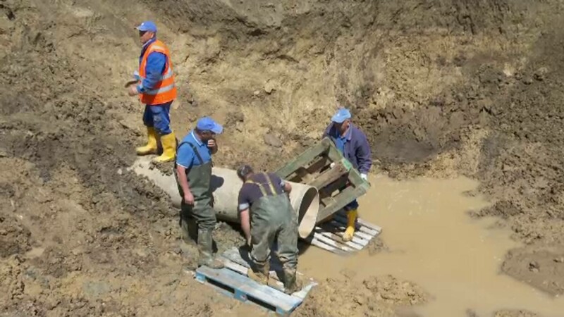 apa, pascani, conducta