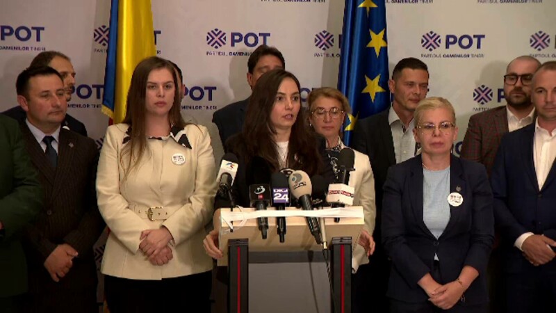 pot, anamaria gavrila
