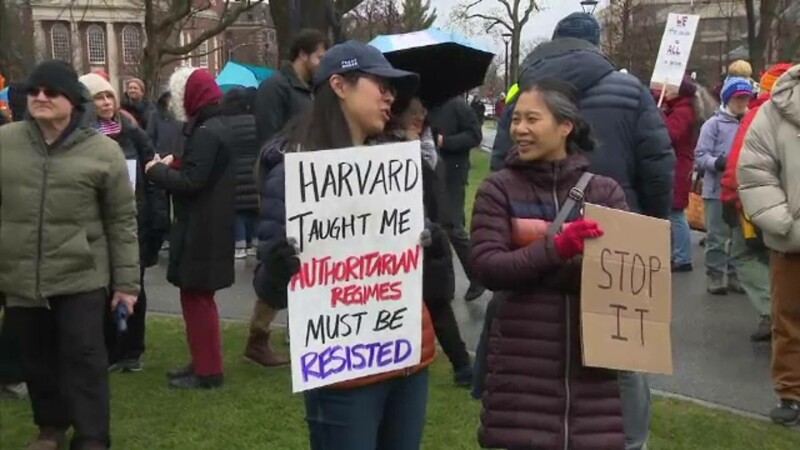 protest Harvard
