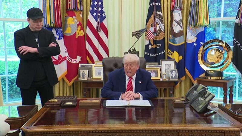 elon musk donald trump