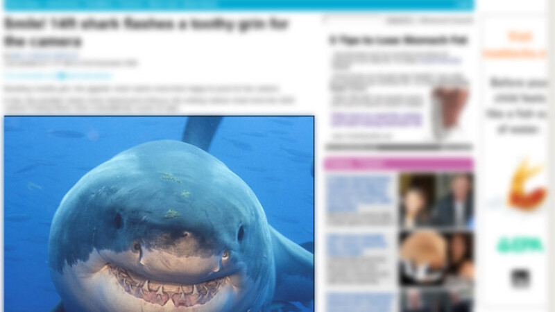 Imagine incredibila! Vezi aici primul rechin din lume care zambeste!
