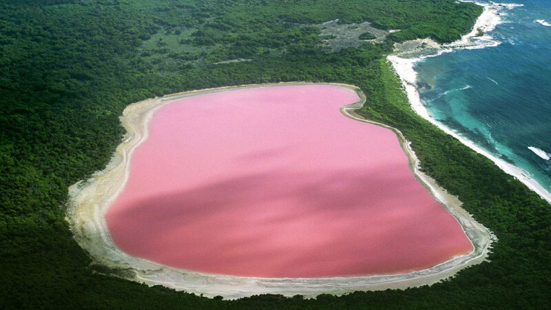 lacul roz australia