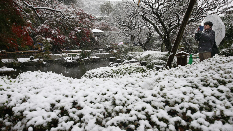 Prima ninsoare in luna noiembrie in orasul Tokyo, din ultimii 54 de ani