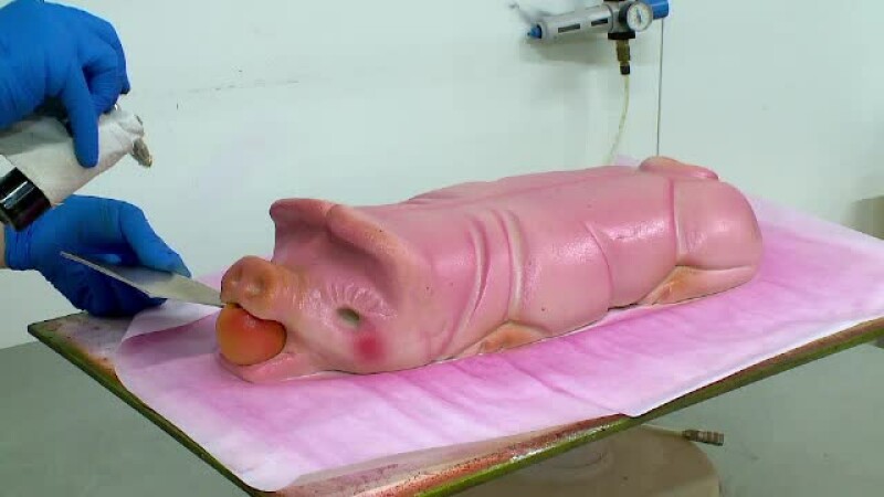 porc martipan