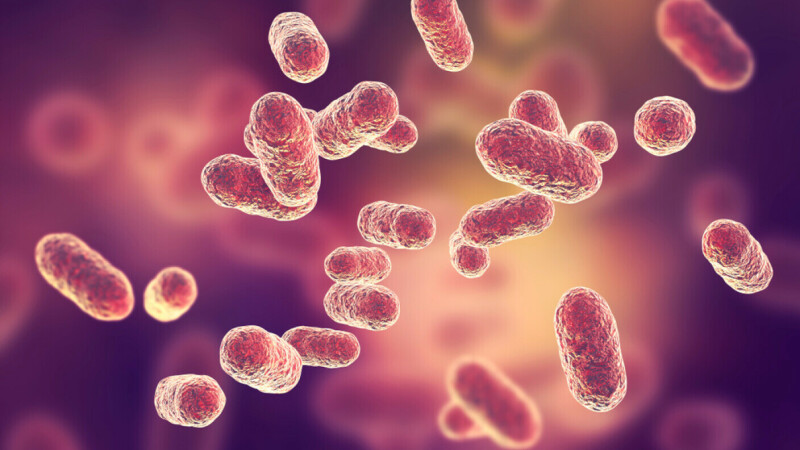 O altă epidemie a izbucnit în China. Sunt deja peste 6000 de cazuri