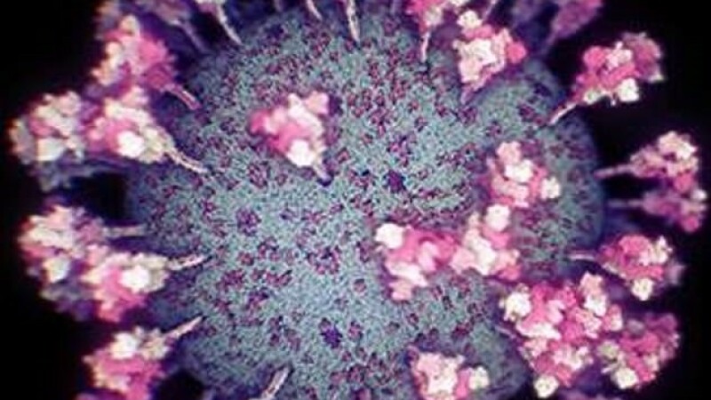 coronavirus microscop