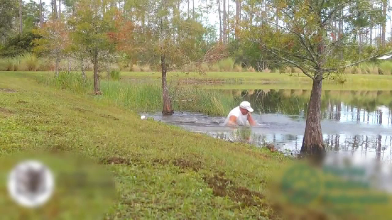 Un american de 74 de ani s-a luptat cu un aligator ca să-şi salveze câinele. VIDEO