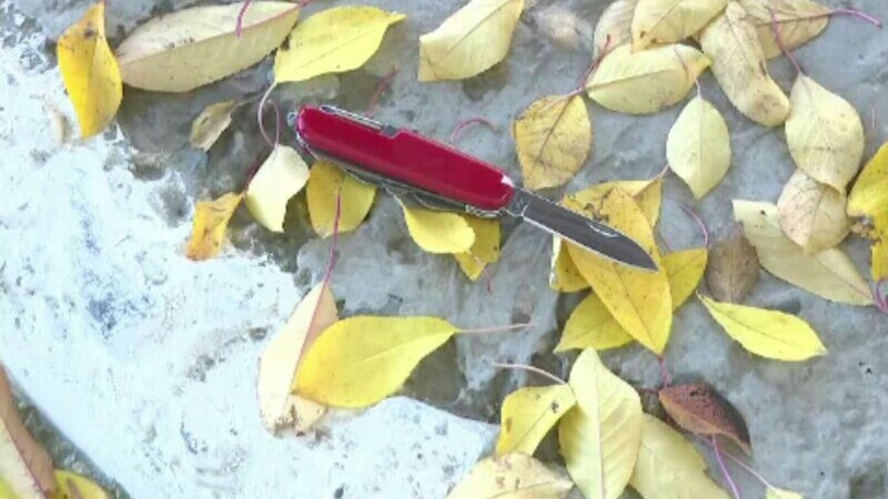 Adolescent tăiat cu un cuțit, la școală, în Brăila. Atacatorul s-a întors, netulburat, la ore