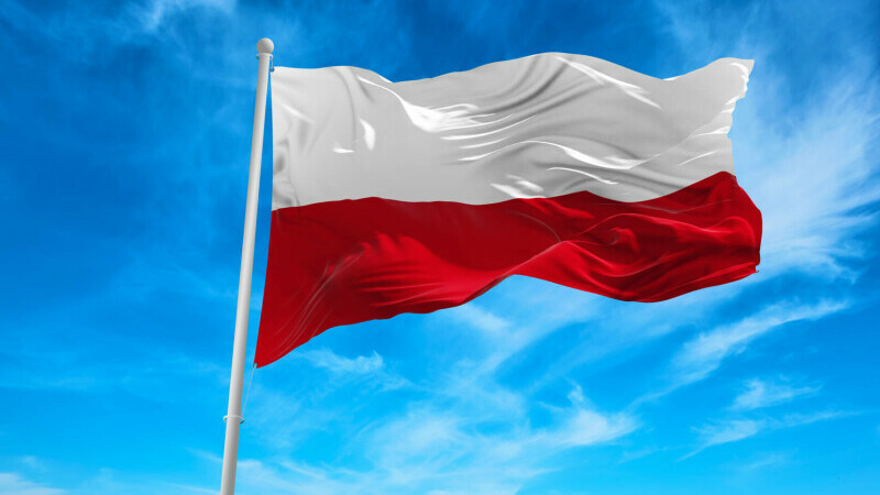 steag polonia