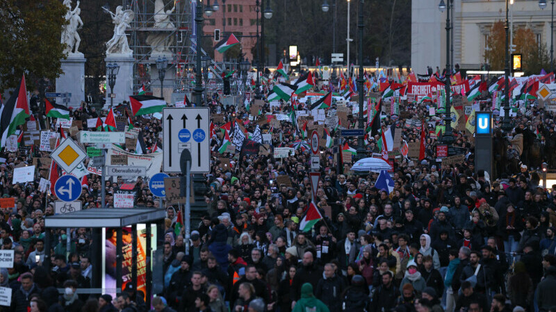 manifestatii palestina