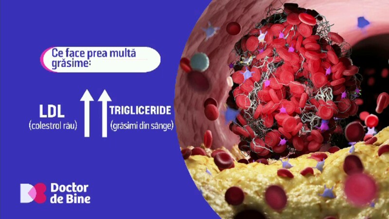 Legătura nebănuită dintre mișcare, „uzina” organismului și colesterolul „bun”. „Arată clar ce valoare au exercițiile fizice