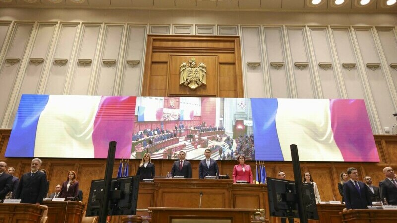 Nicuşor Dan, Parlament