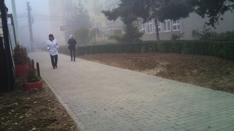 alee complexul studentesc, timisoara