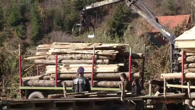 lemne, camion