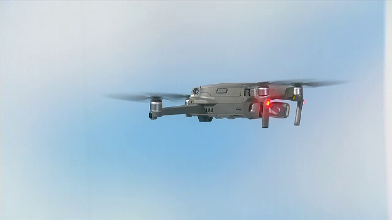 drona
