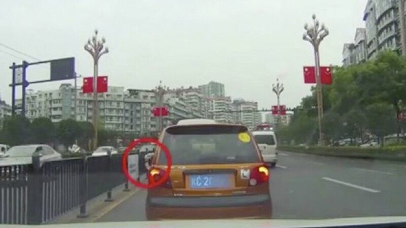 Pisica aruncată pe geamul mașinii